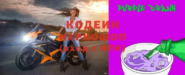 Альфа ПВП Бородино