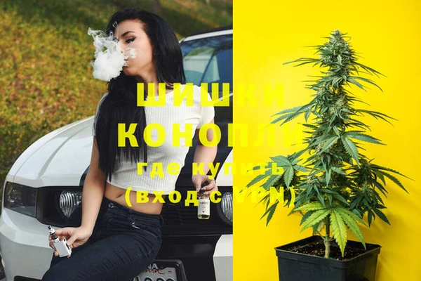 Альфа ПВП Бородино