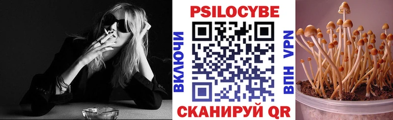 продажа наркотиков  Грязовец  МЕГА зеркало  Псилоцибиновые грибы Psilocybe 